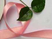 2CM双面缎带丝带绸带－DIY材料包装带手工花材料/韩国带