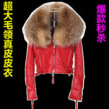 全民疯抢2011新款Dsquared2真皮皮衣 貉子毛领机车绵羊皮外套女