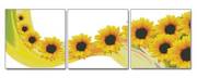 胡丽丽(胡丽丽)十字绣，dmc套件舞动向日葵三联画有3d5d精准印花印布