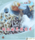 《蝇蛆的养殖技术》(苍蝇)(正版光盘)