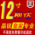 柯达旗舰店 柯达皇家/专业相纸　数码冲印洗照片/照片冲印 12寸