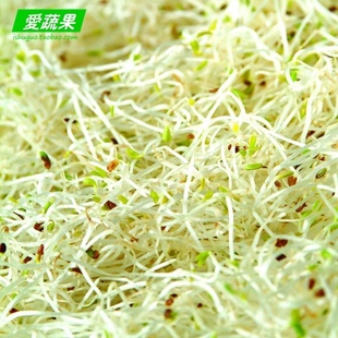  【爱蔬果】绿色食品新鲜蔬菜 绿豆芽 北京配送