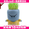 青草 淘气郎灰脸 迷你植物草娃娃/盆栽(灰色) 小草人灰灰 150g