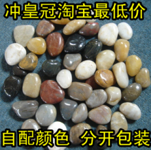 冲皇冠促销特级抛光雨花石/鹅卵石/五彩石/全彩自选色/1.4元1斤