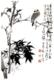 精美水移画买一送一