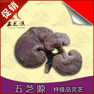  大促 灵芝 整枝 同仁堂级灵芝 赤芝(250g)降脂降糖降压 灵芝片
