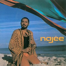 高音萨克斯演奏家Najee,12专辑-1DVD,ape flac