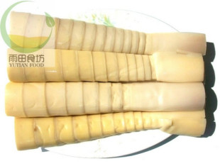  A牌真空水煮凤尾笋510g 森林蔬菜 绿色健康无防腐剂 三明特产