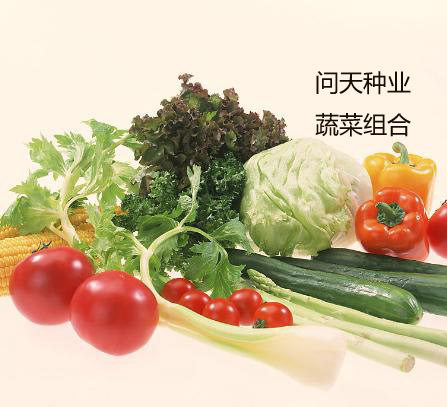 问天种业免费分享种子5
