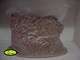 健多乐成犬5KG