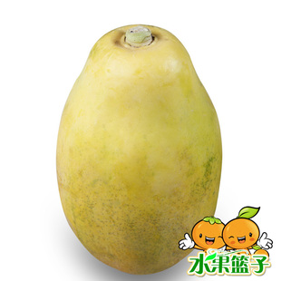  水果篮子 海南木瓜 新鲜水果 1个装 丰胸必备 满10斤江浙沪皖包邮