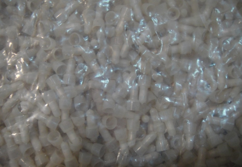 压线帽 闭端端子 终端绝缘接头 6Mm 1000只/包实体店在类目 电子/电工, 电工套管, 电线管配件中 - 来自Buy2taobao.com提供专业的淘宝代购服务
