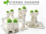 创意礼物 迷你桌面植物 X恋人双人小白人DIY种草 4款
