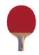 红双喜　六星乒乓球拍(送拍套)6006直拍