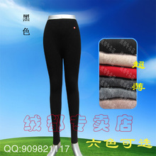 高支精纺●女式超薄保暖瘦身贴身穿羊绒裤●春秋穿裙子打底必备