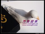 橡胶仿真鸽子 舞台道具 魔术道具 魔术配件