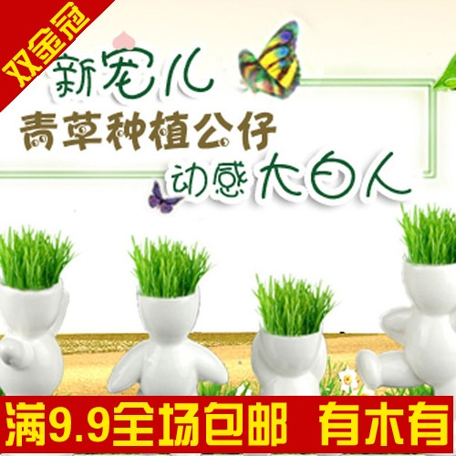 生态E园 最新款动感小白人 大号 好种易生长发芽率高(我清闲)