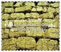 兔兔窝总店 纯紫花苜蓿草块500克 磨牙草块 磨牙草砖 补充蛋白质