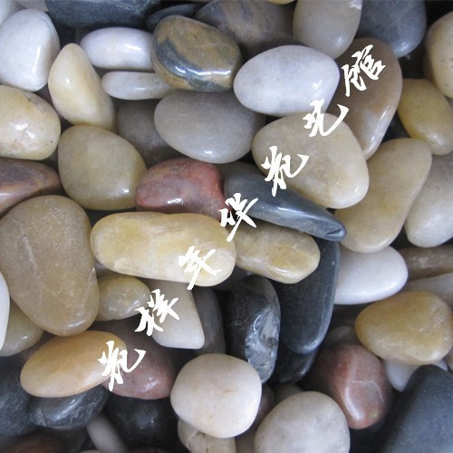 courtyard Paving Paved Super large fish tank Landscaping ashtray Garden outdoors Pebble Large stonesin the Flower delivery/Flowers simulation/Plants gardening , Gardening supplies , Other Garden Supplies category - from Buy2taobao.com to provide professional Taobao agent buy service