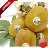 新西兰佳沛Zespri 绿色奇异果绿心猕猴桃30-36江浙沪包邮 孩子满月 普天同庆 一流的售后 无后顾之忧