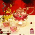 耐热玻璃茶具花草壶花草茶具玻璃茶壶HT024T花草壶套装7