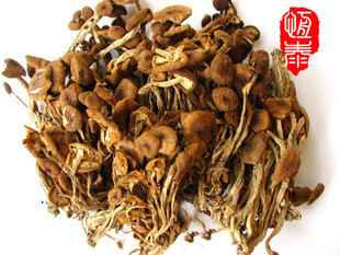 双皇冠 福建特产南北干货 茶树菇茶薪菇 抗癌防癌 250g  正品特价