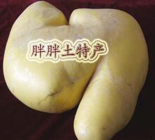 青海祁连特级散装酥油 自用最实惠    250克