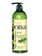 CO.E韩伊橄榄去屑焗油洗发露洗发水