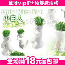 小白人青草植物(单人叉腰) 办公室盆栽 绿色迷你植物 80g
