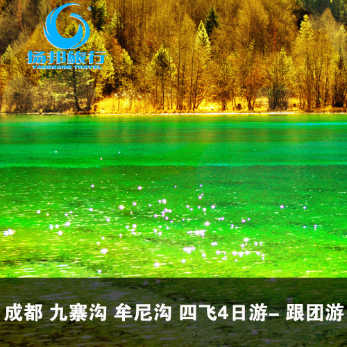 厦门-九寨沟五天四晚跟团游-四飞四日游 四川 成都 国内旅游 厦门-九寨沟五天四晚跟团游-四飞四日游 四川 成都 国内旅游