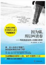 闪电发!【正版现货】因为痛,所以叫青春 金兰都著金在中荐