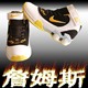 NIKE 耐克皇帝詹姆斯篮球鞋