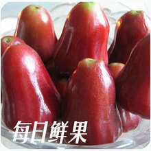 预定 新鲜水果 泰国进口水果特级莲雾 水果莲雾 莲雾 2斤装