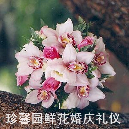 wedding Wedding Flowers arrangement Shanghai Bride holding flowers Shanghai Fashion Wedding Xiaofan Florist 0H007in the Flower delivery/Flowers simulation/Plants gardening , Wedding flower arrangement , Bride holding flowers category - from Buy2taobao.com to provide professional Taobao agent buy service