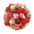 oslim花草茶