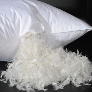 五星级酒店宾馆羽绒枕白鸭绒鹅，羽毛枕芯枕头，柔软枕头单人保健枕头