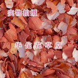 taobao english 2037640285