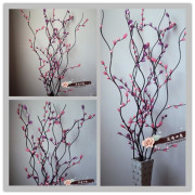 干支干花紫红色叶脉花小雪梅手工艺花卉真树叶制作小花苞装饰首