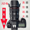 佳能 5D MARK II 专业数码单反相机5D2 5D3 6D二手套机无敌兔