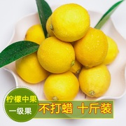 安岳柠檬十斤中果皮薄榨汁新鲜水果柠檬可选大小有坏包赔新鲜柠檬