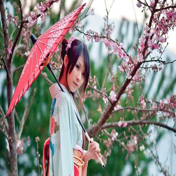 日本旅游大阪出发京都奈良神户一日游和服岚山金阁清水寺樱花|msdalam kategori talian Holiday/Visa menghantar off/Travel Services, latihan percuma/Perjalanan dengan kumpulan, mainan tempatan di luar negara - dari Buy2taobao.com untuk memberikan perkhidmatan ejen Taobao profesional membeli