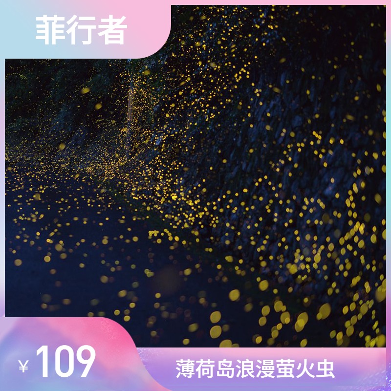 菲行者薄荷岛萤火虫半日游酒店接送蜜蜂农场悬崖餐厅夜观萤火虫|msdalam kategori talian Holiday/Visa menghantar off/Travel Services, 目的地玩乐, 境外玩乐套餐 - dari Buy2taobao.com untuk memberikan perkhidmatan ejen Taobao profesional membeli