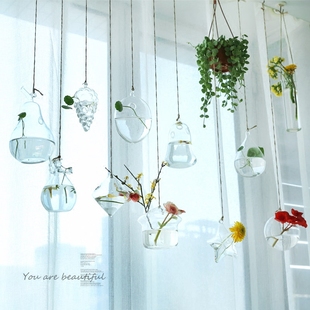 玻璃吊花瓶透明水培简约现代创意悬挂式装饰客厅个性迷你花器吊瓶