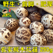 花菇 香菇 250g 香菇干货 农家蘑菇 农家椴木香菇 剪脚肉厚