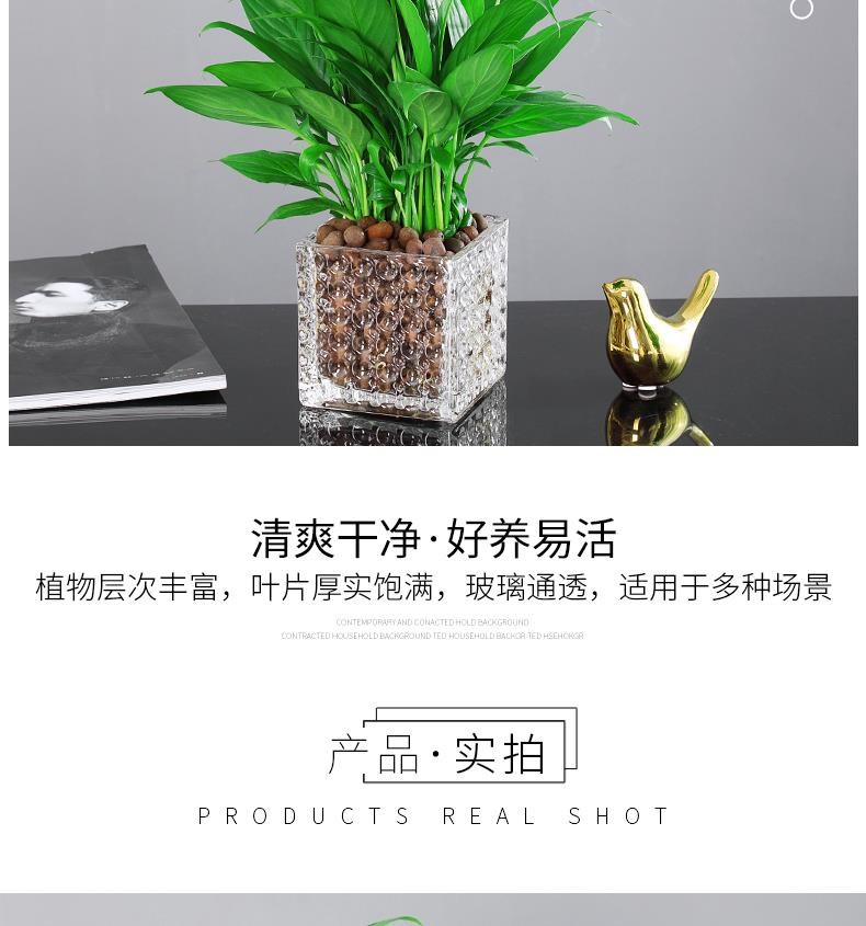 直板卷发棒小型家用便携发廊头发电短发夹板儿童工具神器迷你拉l