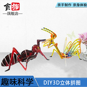 3D立体拼图昆虫世界儿童科技制作发明创造科学课steam手工diy材料