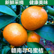 新鲜水果桔子赣南寻乌蜜桔孕妇水果橘子蜜橘脐橙子品质9斤
