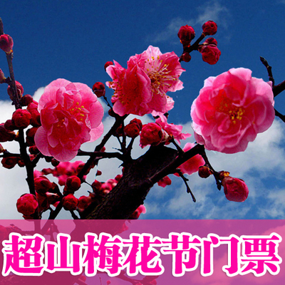 6秒出票余杭超山風景區梅花節門票2大1小親子家庭套票成人兒童票在類目 景點門票/實景演出/主題樂園, 國內票務中 - 來自Buy2taobao.com提供專業的淘寶代購服務