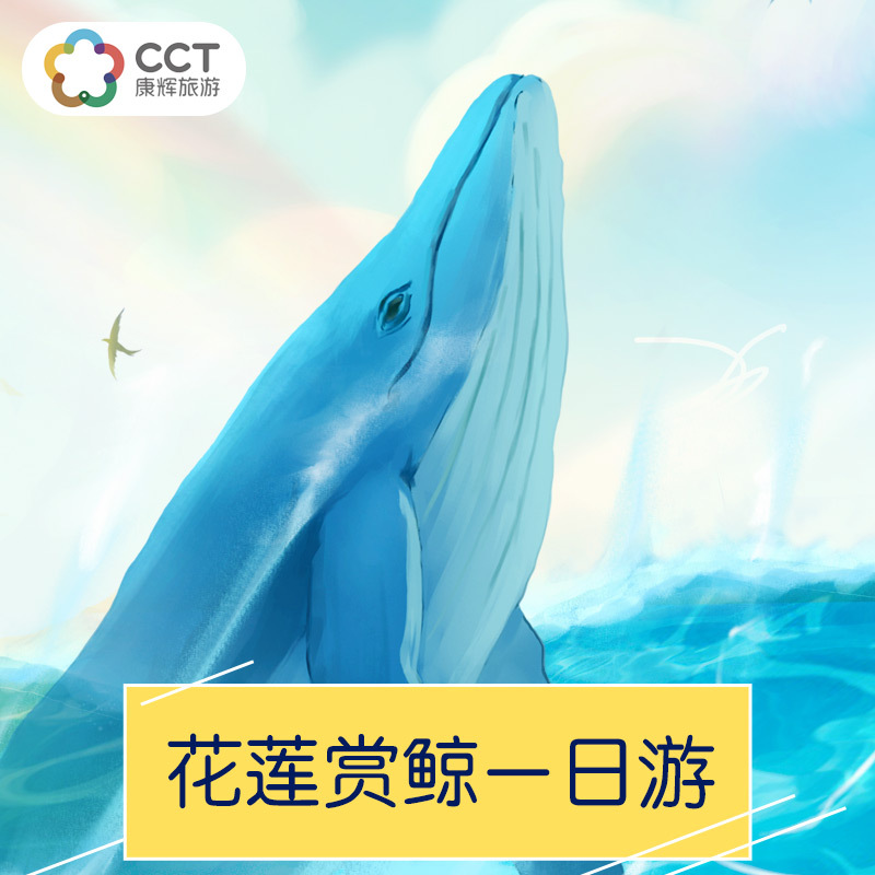 Taiwan Hualien one-day tour Sea Wholphin Dolphin Downtown area Shuttlein the Holiday Line/Visas send off/Travel services , Visit/Tuanyou , Overseas local fun category - from Buy2taobao.com to provide professional Taobao agent buy service