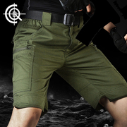 cqb军迷战术裤工装短裤，夏季薄款棉体能，训练军绿排汗马蹄战术短裤